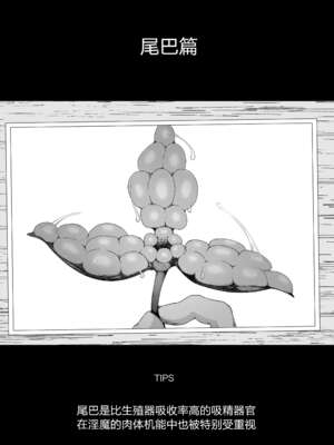 [イキヌキ。] 【プロローグ】魔道具屋の局部責め調教日誌 [中国翻訳][殘缺][5DK个人汉化]_019