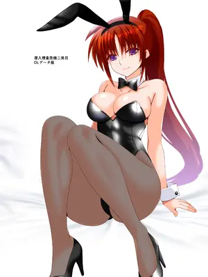 [Aquarius Gate (えんご)] 潜入捜査危機②発目!! (魔法少女リリカルなのは) [DL版]_02