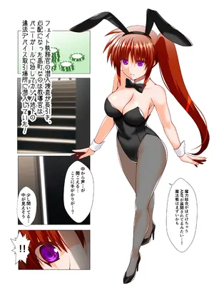 [Aquarius Gate (えんご)] 潜入捜査危機②発目!! (魔法少女リリカルなのは) [DL版]_03