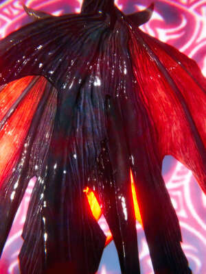 [aaish]破碎残阳[SHATTERED SUN]01-03_0502