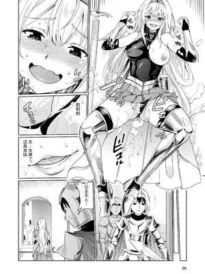 [レイドソックス (トリッキー)] 狂乱の討伐姫ダリア [中国翻訳]_35