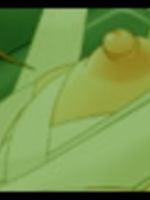 [幸せ共和国 (幸せのかたち)] 幸せのかたちのエッセンシャルCG集_306_har4h