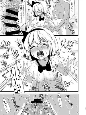 [ヒッツッツ (ひっつ)] 幻想郷エロ能力化異変 総集編D (東方Project)_039