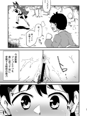 [ヒッツッツ (ひっつ)] 幻想郷エロ能力化異変 総集編D (東方Project)_049