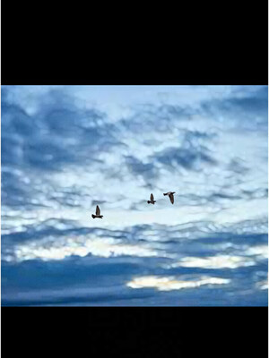 韶恩 43-44話_44_02_tlqm