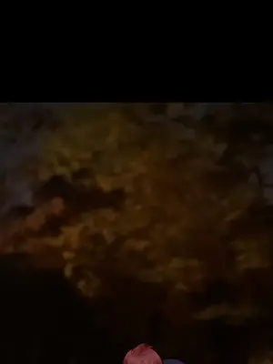 愛情契約 1-75話[完結]_045074