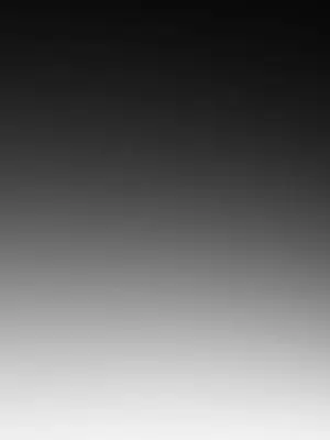 愛情契約 1-75話[完結]_024077