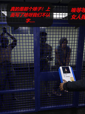 [泰隆是信仰]罪恶都市DAZ(重置版)00-06_1482