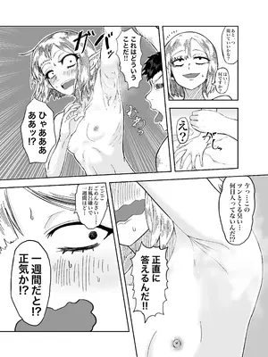 [未確認性命体] 風呂嫌いな地味顔エルフの娼婦を騙して嫁にする_06