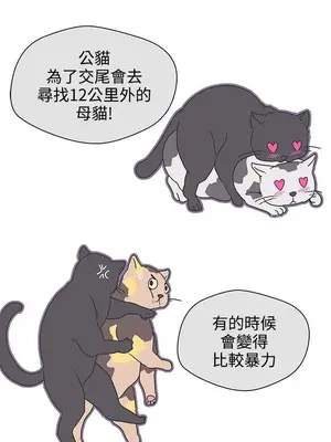 LOVE愛的導航G／零號手機 1-54話[完結]_004294