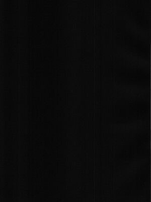 (C89) [Lagarto (英田舞)] 籠のなかの金糸雀 [嘻嘻不嘻嘻個人漢化]_23