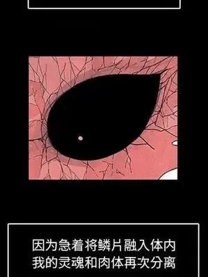 妖神傳說 1-58話[完結]_017067