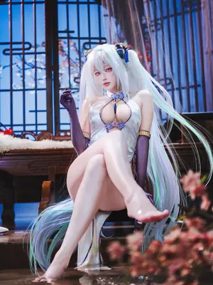 碧蓝航线，奇尔沙治_07