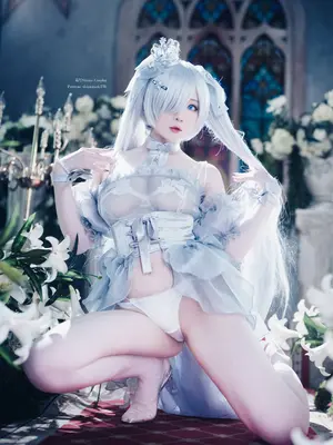 Shirolul - Cinderella_11