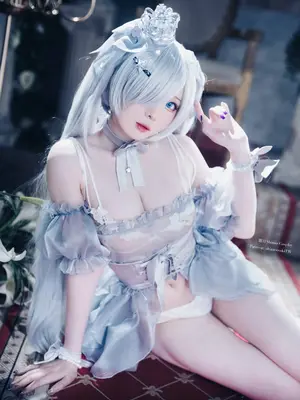 Shirolul - Cinderella_13
