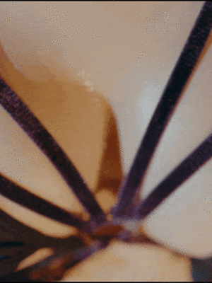 蠢沫沫 - 碧蓝航线 尾张_310