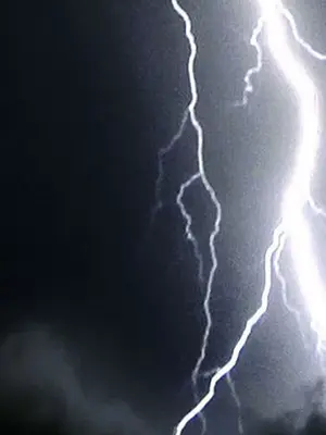 姊姊：蓮／我的姐妹 1-65話[完結]_007251