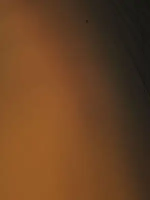 姊姊：蓮／我的姐妹 1-65話[完結]_001290