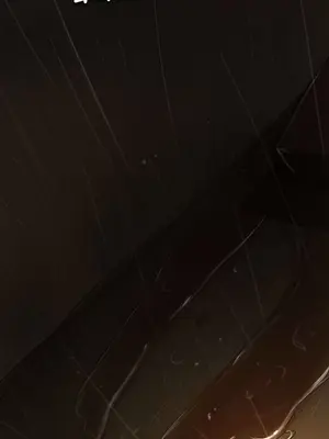 姊姊：蓮／我的姐妹 1-65話[完結]_007377