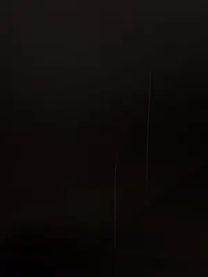 姊姊：蓮／我的姐妹 1-65話[完結]_008110