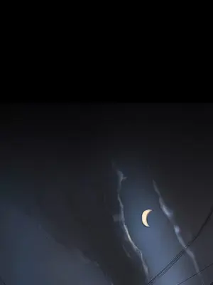 姊姊：蓮／我的姐妹 1-65話[完結]_006086