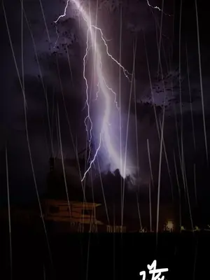 姊姊：蓮／我的姐妹 1-65話[完結]_011373