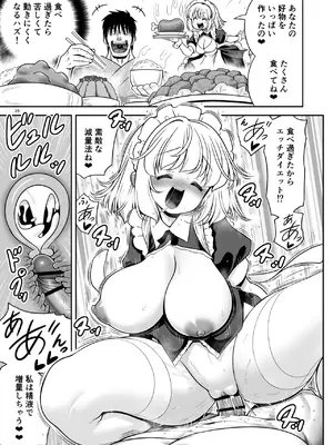[世捨人な漫画描き (ともきとものり)] 毎日エッチ漬け生活から抜け出せない (東方Project) [DL版]_25