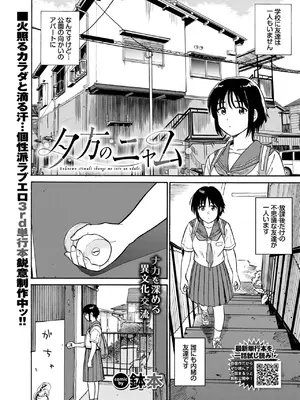 COMIC BAVEL 2025年7月号 [DL版]_251