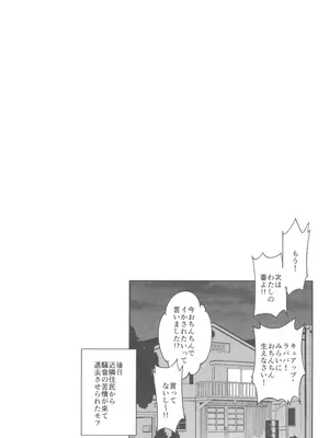 (COMIC1☆26) [熟成角砂糖 (sugarBt)] キラッキランランなんてなかった (キミとアイドルプリキュア♪)_21