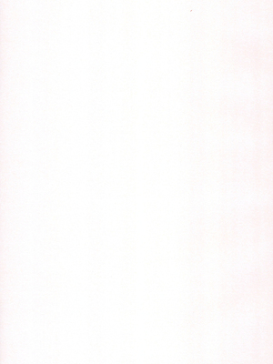 (秋季例大祭4) [来舞黒猫医院 (くるまい)] 幼橙の発情期 (東方Project) [守矢十字陵汉化]_27