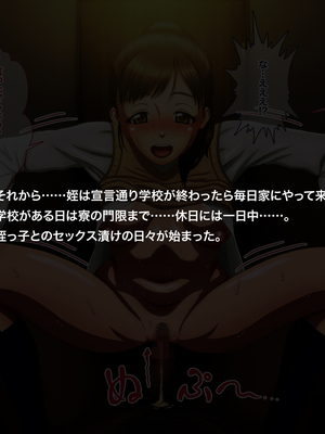 [大紙風船] 姪がHに目覚めたら_071_11_10