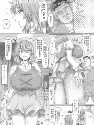 [ちんちん亭 (chin)] おじさんのおもりは大変 (東方Project)_03