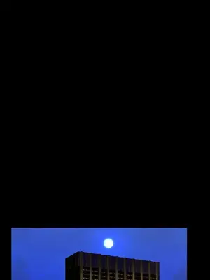 MY WIVES 淫蕩的妻子們 1-44話[完結]_003064