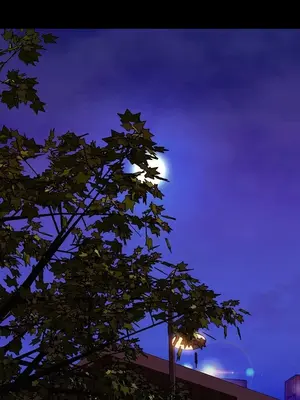 MY WIVES 淫蕩的妻子們 1-44話[完結]_003550