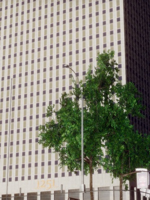 [チーファ]张伟的报复_011