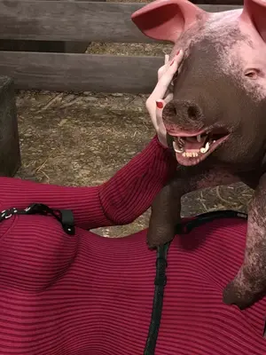 [Snow3D]Secret woman agent vs pig -chapter 1_00030