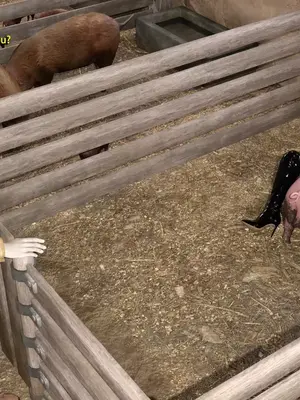 [Snow3D]Secret woman agent vs pig -chapter 1_00131