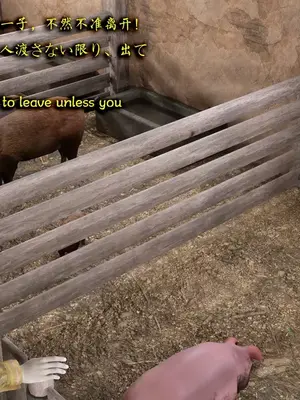 [Snow3D]Secret woman agent vs pig -chapter 2_00012