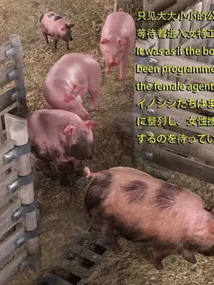 [Snow3D]Secret woman agent vs pig -chapter 4_00006