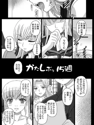 [幸せ共和国 (幸せのかたち)] かたしぶっコンプリート [DL版]_039