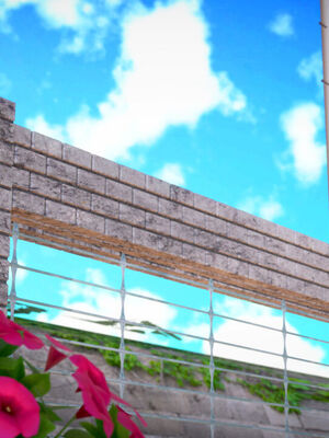 和媽媽的情事_342_263