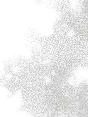 放蕩不羈的公爵夫人／公爵夫人的淫蕩邀請 1-55話[完結]_2034035