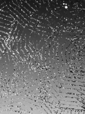 放蕩不羈的公爵夫人／公爵夫人的淫蕩邀請 1-55話[完結]_1025038