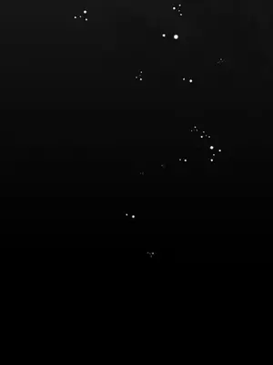 放蕩不羈的公爵夫人／公爵夫人的淫蕩邀請 1-55話[完結]_3051016