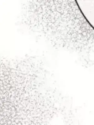 放蕩不羈的公爵夫人／公爵夫人的淫蕩邀請 1-55話[完結]_3051029