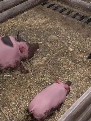 ［和风］Secret agent ada＆秘密特工艾达王 番外篇6_00018