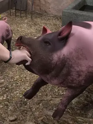 ［和风］Secret agent ada＆秘密特工艾达王 番外篇6_00022