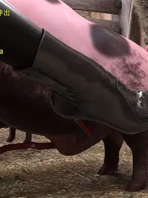 ［和风］Secret agent ada＆秘密特工艾达王 番外篇6_00035