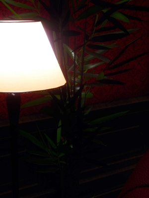 [qmsuzi] 性能力超强的我怎么可能会戴绿帽 13_018