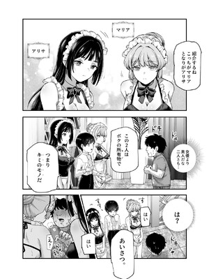 [にゅう工房 (カメナシ)] ボクの人権をあげるEX 学校で一番モテて金持ちで天才のエリートが誕生日プレゼントに人権をくれた話(しかも女)_040